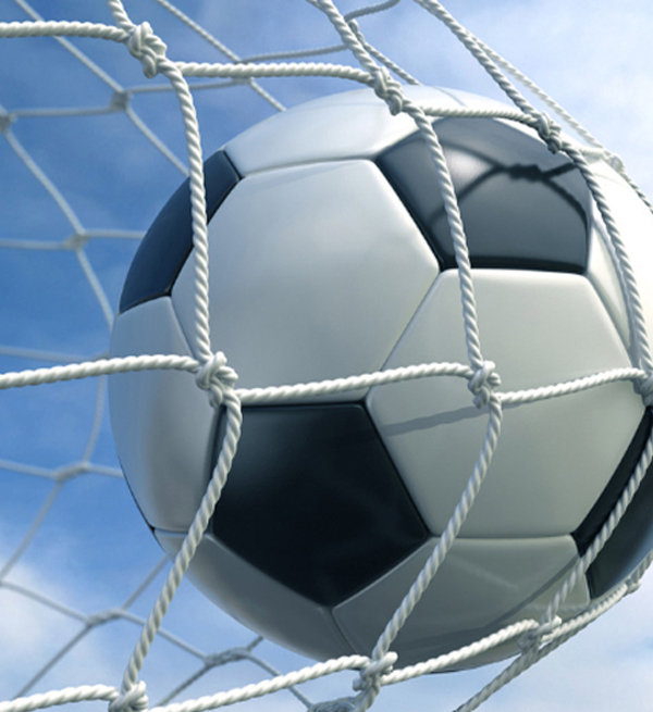 POLYETHYLENE DYNEEMA