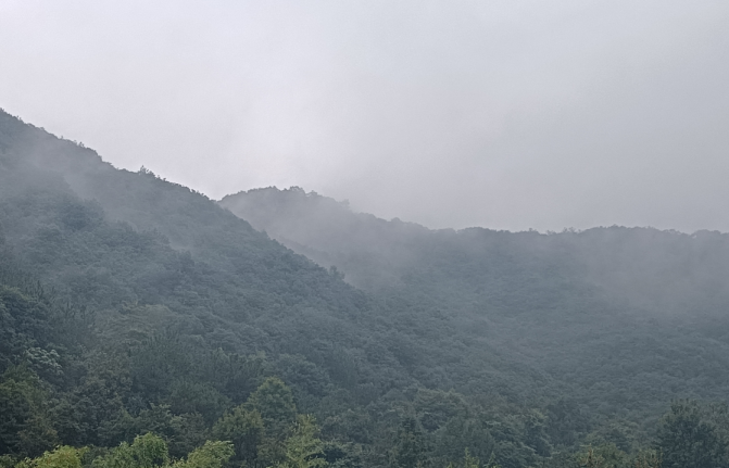 Environment